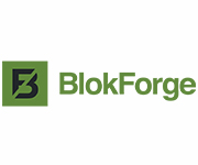 BlokForge Coupons