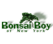 Bonsai Boy Coupons