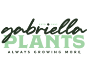 Gabriella Plants Coupons