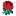 England Rugby