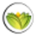 The Ayurveda Experience