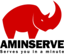 AMinServe
