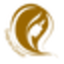 Liquid Gold Hair Products