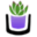 The Succulent Source