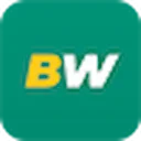 BetWinner