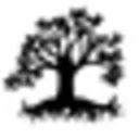 The Dragontree Apothecary