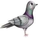 Your Letters From Patrick